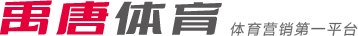 使得萨内在