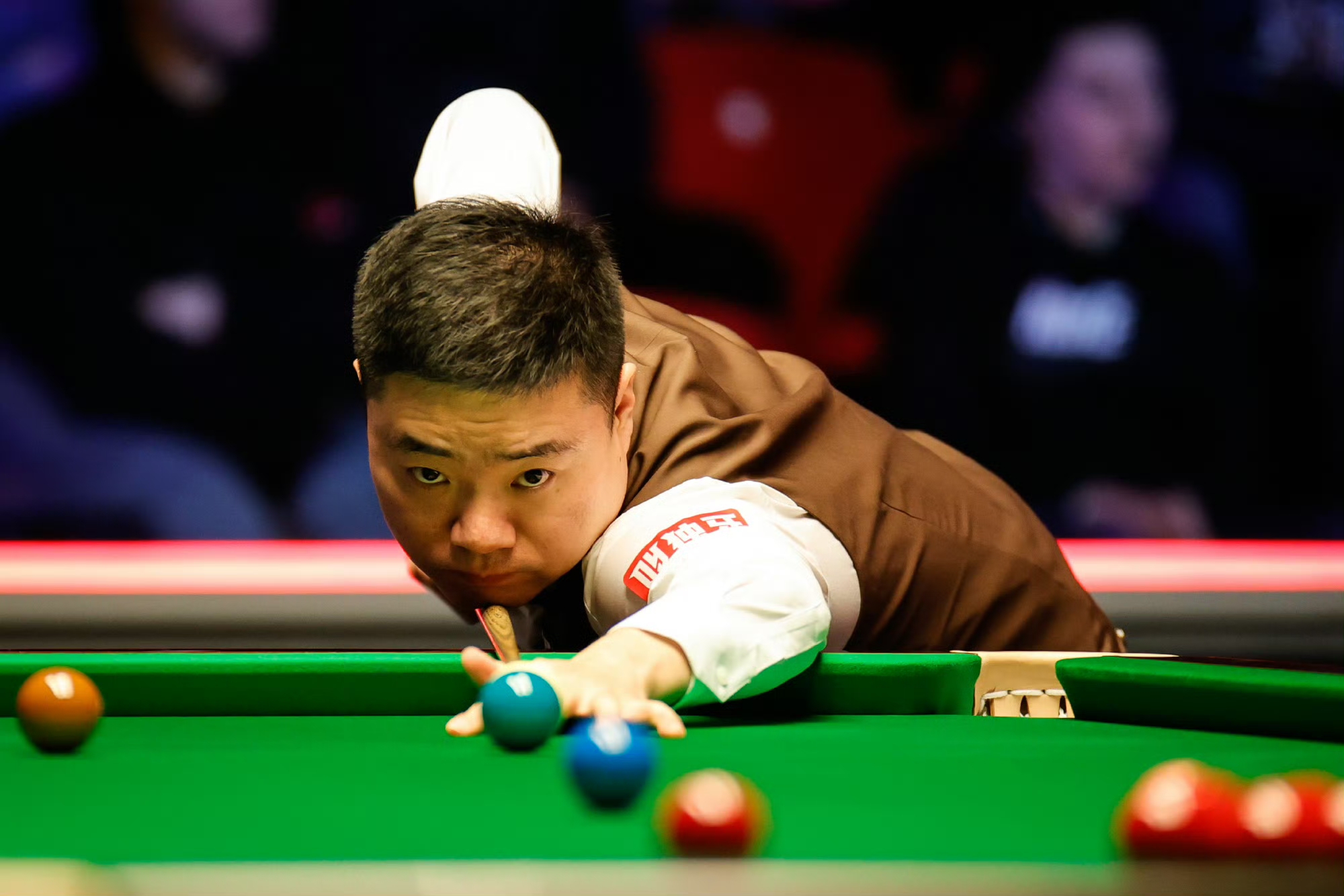 这不仅是个 这不仅是个