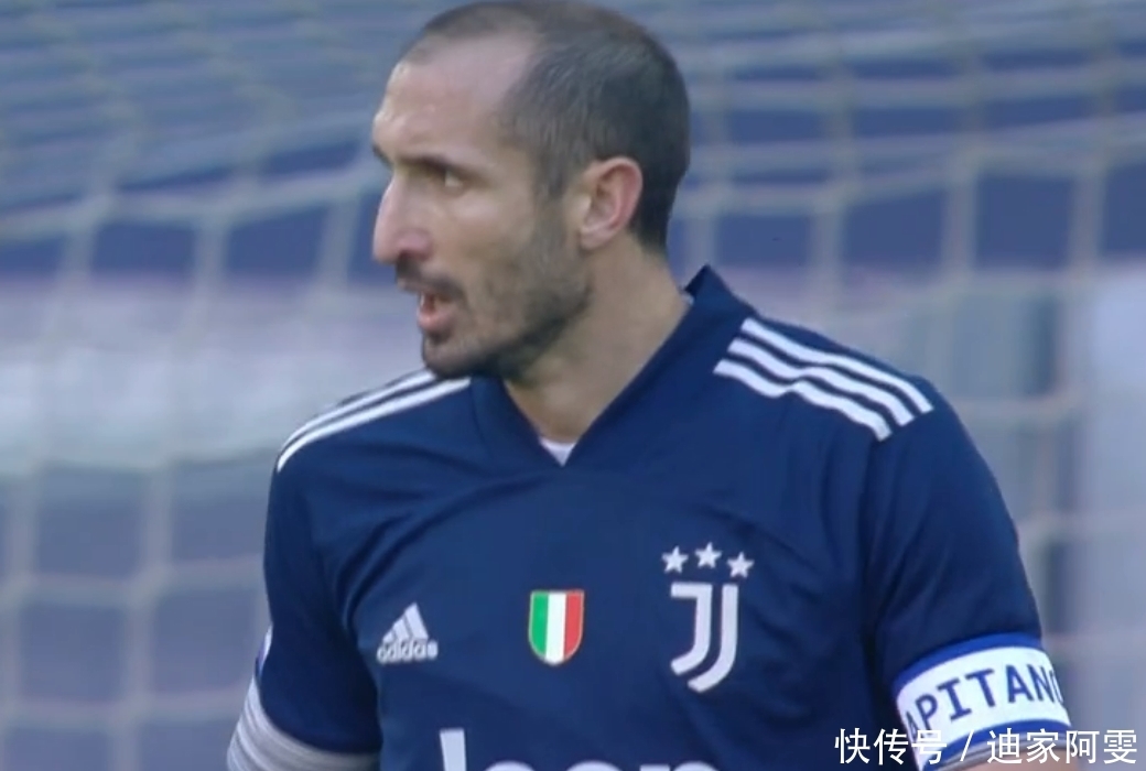 赛的观众们 赛的观众们