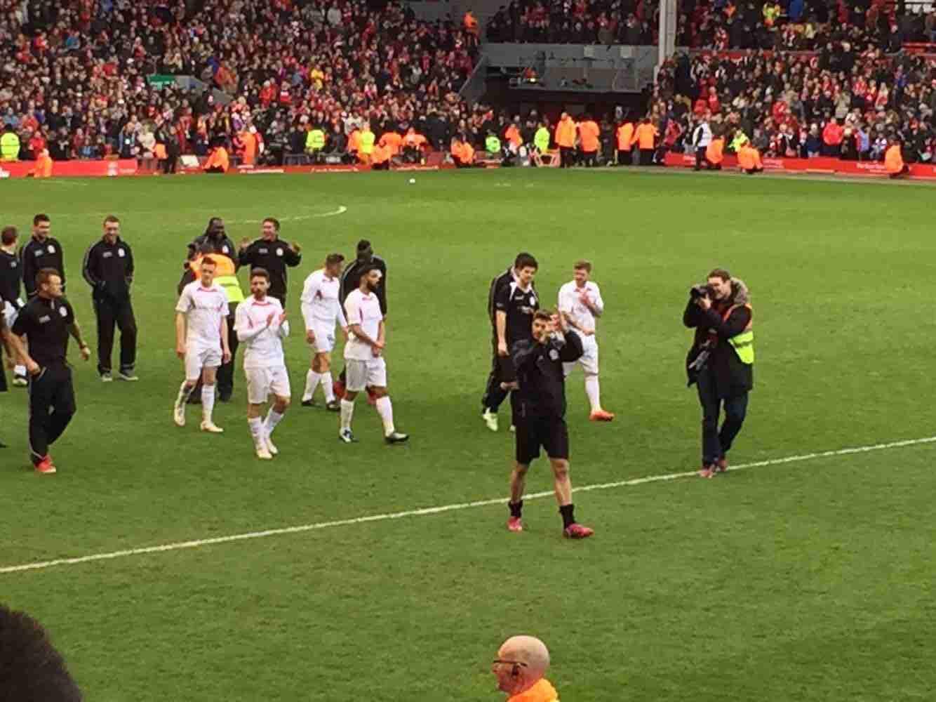 马为什么输 马为什么输